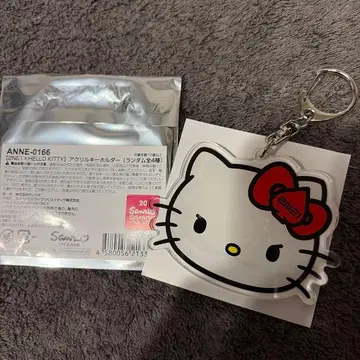 2NE1 헬로키티 콜라보 키링 아크릴 키링