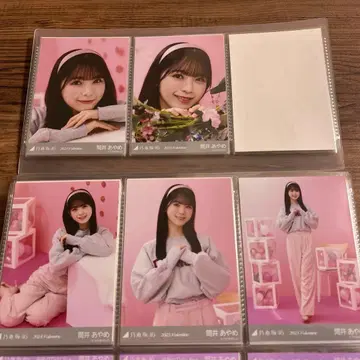 츠츠이 아야메 브로마이드 발렌타인