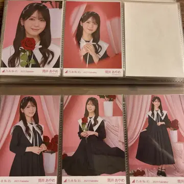 츠츠이 아야메 브로마이드