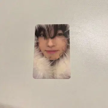 K-POP 아이돌 사진 카드