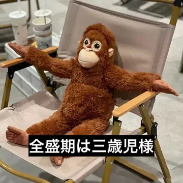 브라운 원숭이 봉제 인형 약 60cm