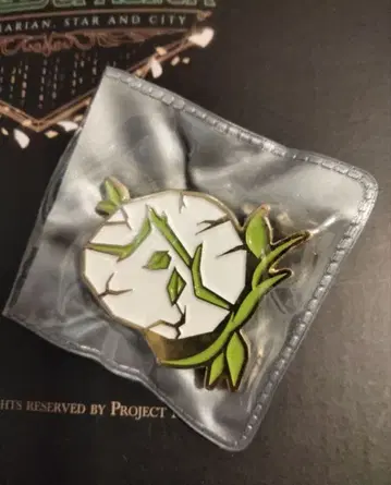 린바스 컴퍼니 핀 배지 클레어