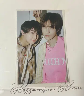 S Cawaii! 에스카와 후지모토 코다이 칸 히데요시 미니 포토카드