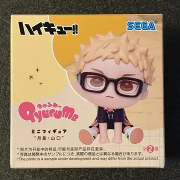 하이큐!! 큐룽하게 쳐다보는 포즈 미니 피규어 츠키시마 케이