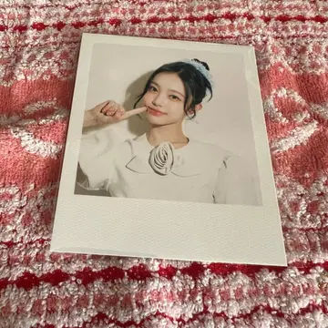 하투하 이안 시그리 폴라로이드