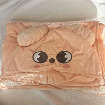 straykids 팝업 담요 승민 파피무