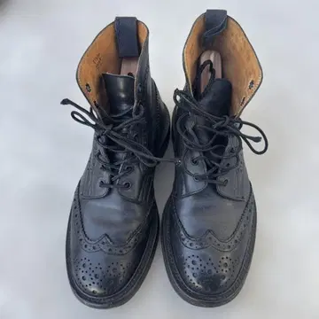 트리커스 하이컷 7.1/2