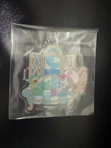 포켓몬스터 포켓몬 투지 가디안 아크릴 참 내부 가방 미개봉