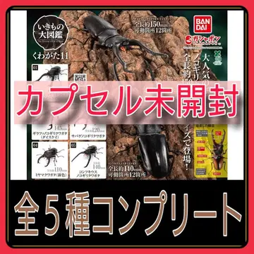 [ 새상품 ] 생물대도감 장수풍뎅이 11 전종 컴플리트 완전 미개봉품