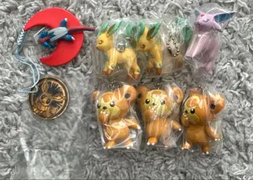 리프아 에이피 코리락쿠마 보만다 이브이 코인