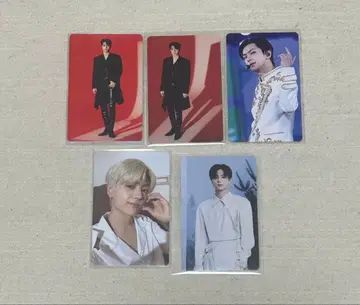 enhypen 제이 트레이딩 카드