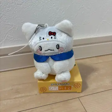 하나마루 유령 피타레스트