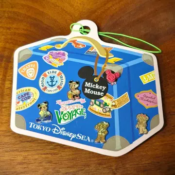 [ 미사용 ] 디즈니씨 스프링 보야지 귀걸이 5개 세트