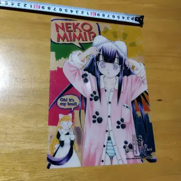 츠키요미-MOON PHASE- B-5 클리어 책받침