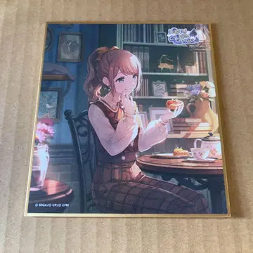 프로세카 호나미 색지 52a