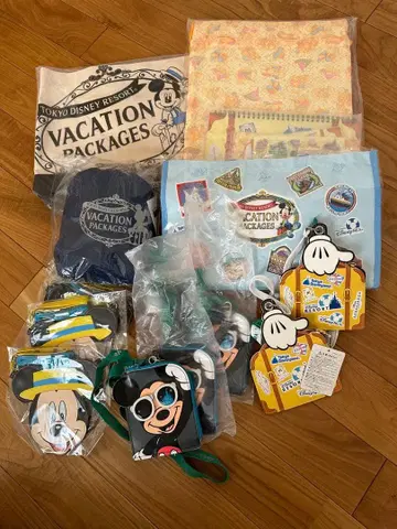 도쿄 디즈니 리조트 베케이션 패키지 세트 백 담요 등