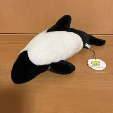 도바 수족관 이로와케돌고래 봉제 인형 중형 S