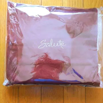 [ Salute ] 쿠션 담요 미개봉품