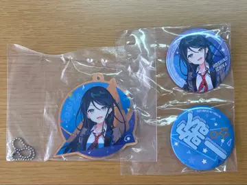 프로세카 세가 럭키 쿠지 호시노 이치카 아크릴 키링 & 캔뱃지 세트
