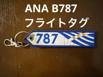 B787 플라이트 택 ANA