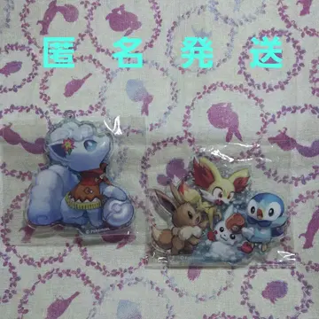 포켓몬 아크릴 키링 푸호꼬 이브이 팽도리 알로라 식스테일