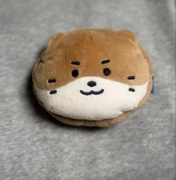 찬다리 코인 파우치 미니틴 miniteen seventeen