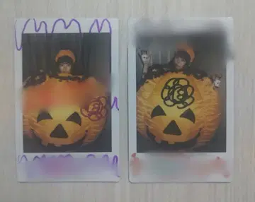 네룬 유루메루모! 폴라로이드