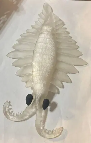 씨 디노사우루스 아노말로카리스 클리어 바디