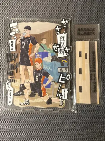 하이큐 히나타 카게야마 아크릴 스탠드 점프 GIGA