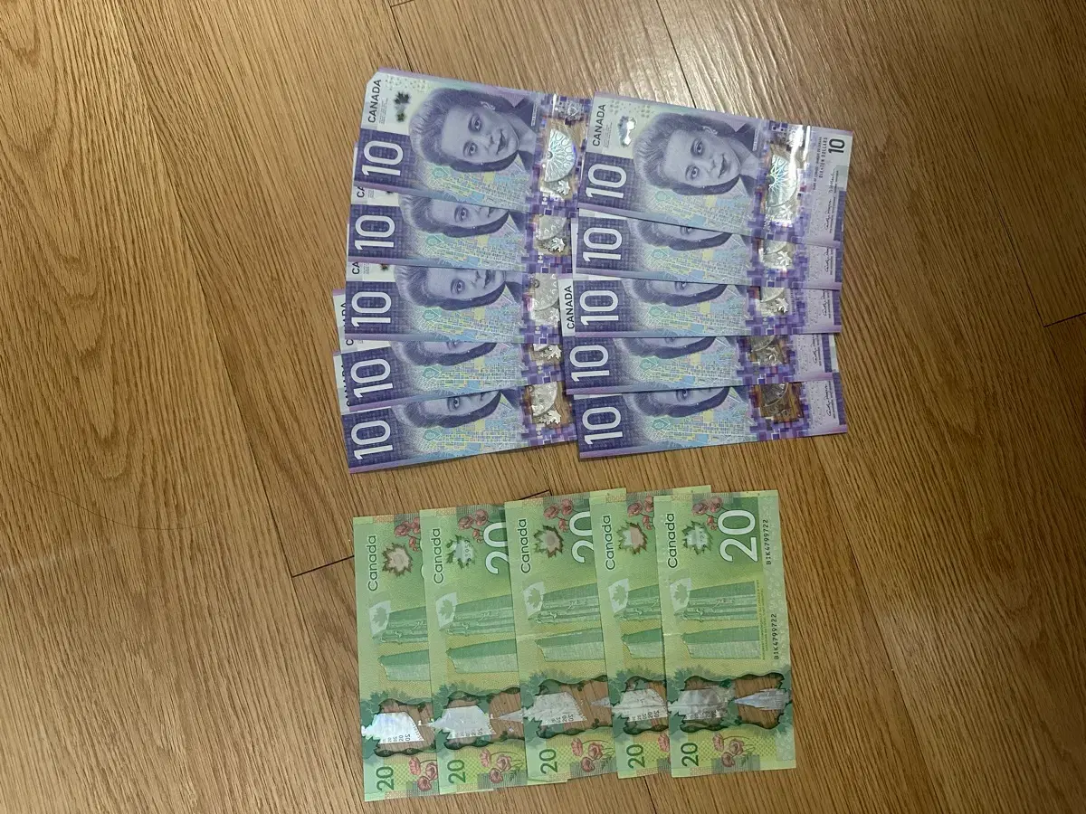 캐나다 달러 200달러 | 브랜드 중고거래 플랫폼, 번개장터
