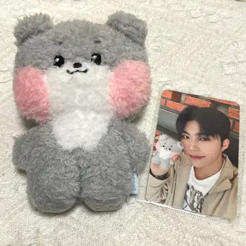 zeroni 고니니 봉제 인형 zb1 제베원 건욱