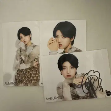 AMEFURASSHI 브로마이드 코지마 하나 사인