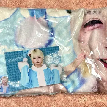 DeXeultio 콘짱 담요