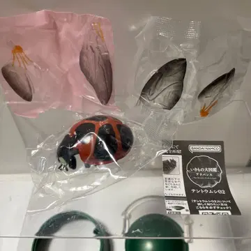 생물대도감 어드밴스 텐트엄니 02 큰점박이무당벌레