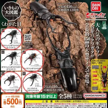 [ 새상품 ] 생물대도감 사슴벌레11 4종 세트