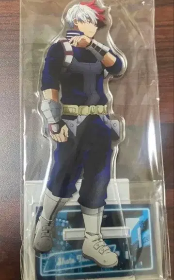 나의 히어로 아카데미아 도큐 아크릴 피규어 스탠드 토도로키 쇼토