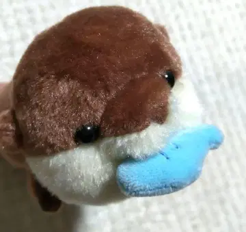 [수달의 친구] 달리는! 배고픈 아기 수달 봉제 인형 아기 수달