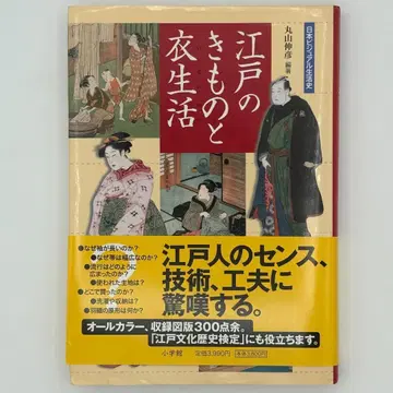 에도의 기모노와 의생활 일본 비주얼 생활사