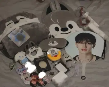 스키즈 방찬 울프찬 skzoo 부채 커버 트레이딩 카드 홀더 부채