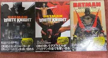 dc 코믹 배트맨 화이트 나이트