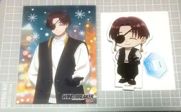 WIND BREAKER 윈브레 프린세스 카페 스오우