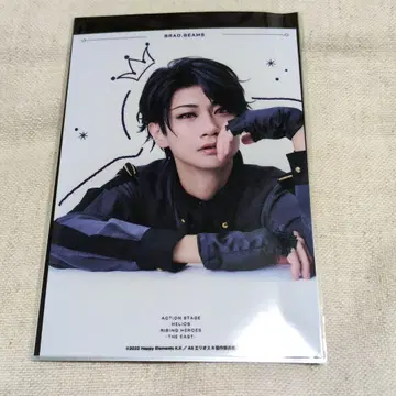 브래드 에리스 랜덤 브로마이드 란브로 EAST2