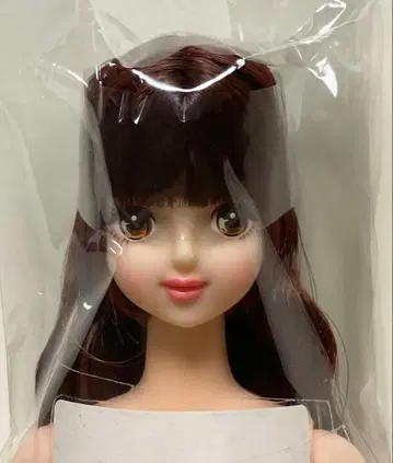 타마키 27BD 제니 프렌드 오타노시미 인형 리카짱 캐슬