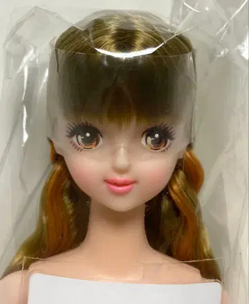 타마키 27BD 오타노시미 인형 제니 프렌드 리카짱 캐슬