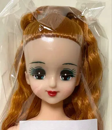 마린 27BD 제니 프렌드 오타노시미 인형 리카짱 캐슬