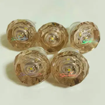 시온 파라라이 린라이 5세트