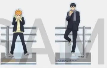 하이큐 TSUTAYA 하후하후 아크릴 스탠드 카게야마 토비오 히나타 쇼요