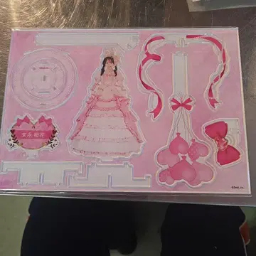 레어 SKE48 미래벚꽃 졸업 기념 아크릴 스탠드