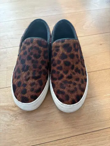 PELLICO SUNNY 펠리코 송치 슬립온 36 plage 별주