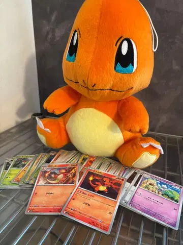 [ 포켓몬 카드 포함 ] 꼬부기 봉제 인형 포켓몬 포켓몬 카드 덤 포함